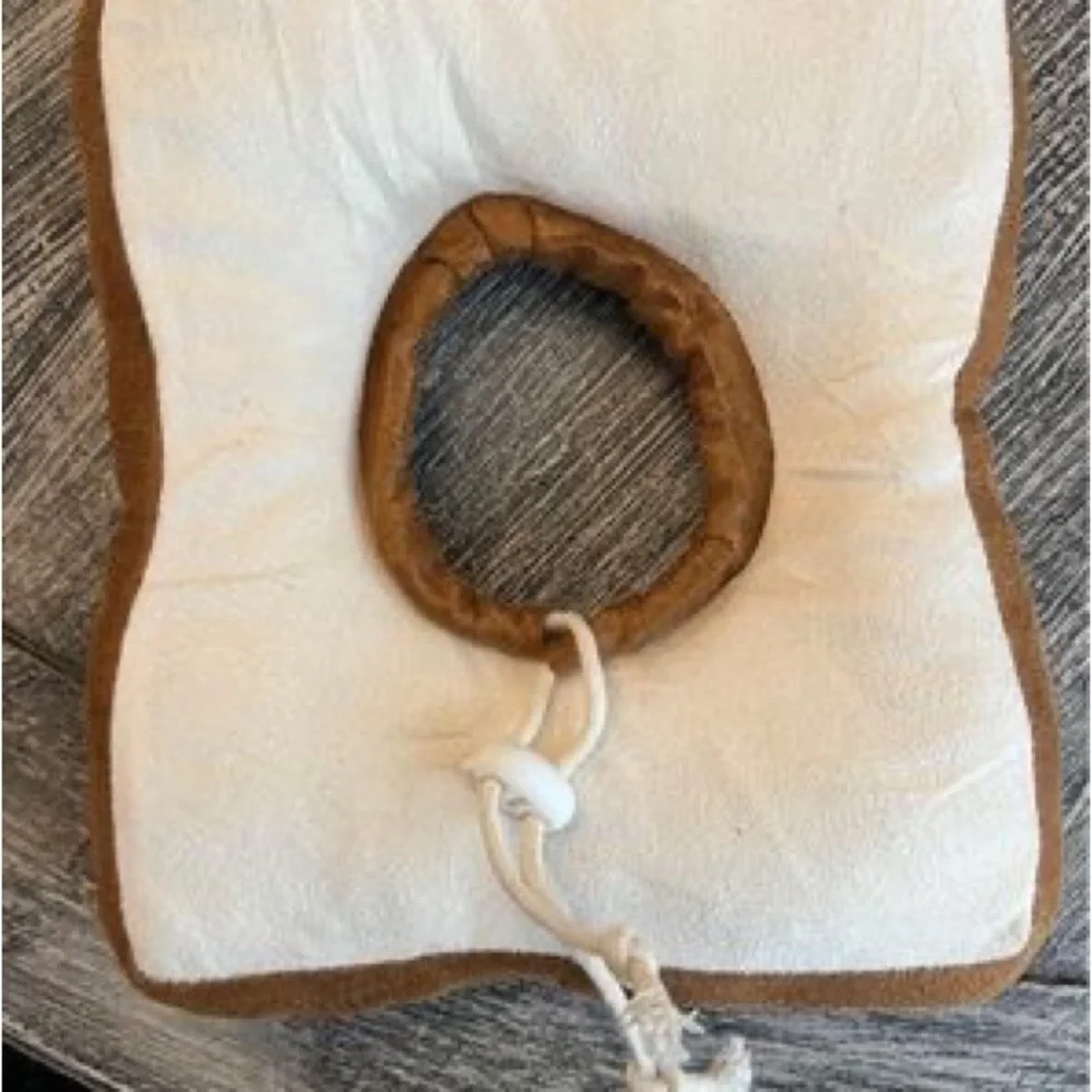 Cat or small dog Elizabeth collar.
